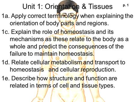 Unit 1: Orientation & Tissues