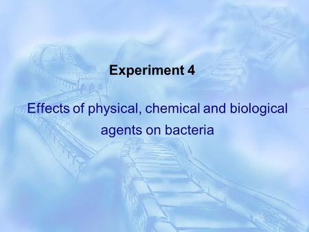 Effects of physical, chemical and biological agents on bacteria Experiment 4.