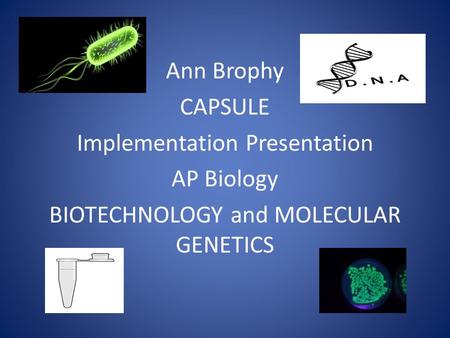 Ann Brophy CAPSULE Implementation Presentation AP Biology BIOTECHNOLOGY and MOLECULAR GENETICS.