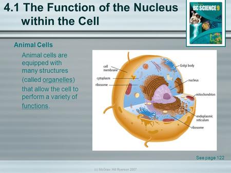 4.1 The Function of the Nucleus within the Cell