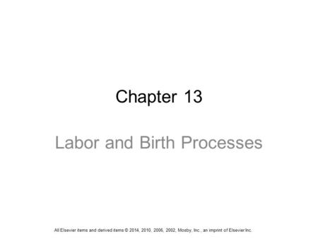 Labor and Birth Processes