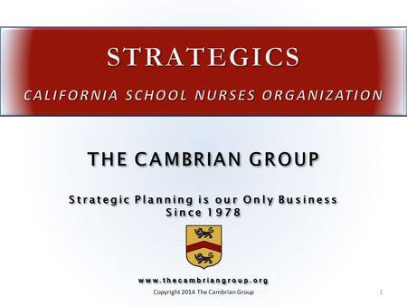 Strategic Planning is our Only Business Since 1978 THE CAMBRIAN GROUP Strategic Planning is our Only Business Since 1978www.thecambriangroup.org www.thecambriangroup.org.