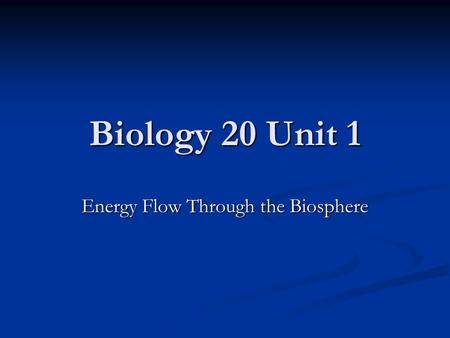 Energy Flow Through the Biosphere