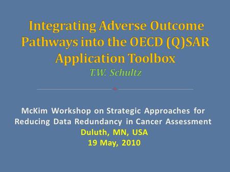 McKim Workshop on Strategic Approaches for Reducing Data Redundancy in Cancer Assessment Duluth, MN, USA 19 May, 2010.