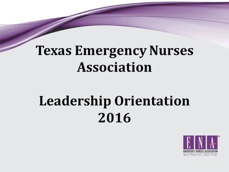 Texas Emergency Nurses Association Leadership Orientation 2016.