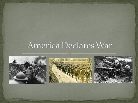 8 million German Americans supported their homeland 4.5 million Irish Americans also supported the central powers Did not like British Rule Most Americans.