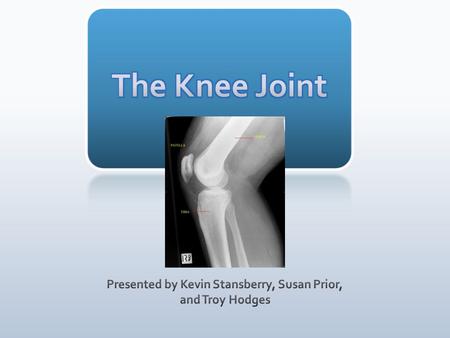 **Longest and heaviest bone in the body** **Large, weight bearing (shin bone)**