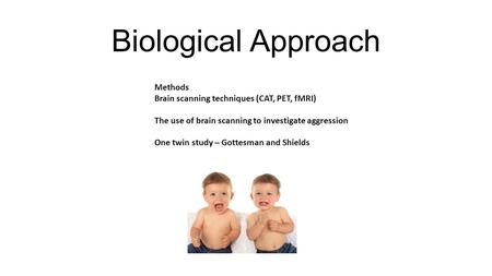 Biological Approach Methods Brain scanning techniques (CAT, PET, fMRI) The use of brain scanning to investigate aggression One twin study – Gottesman and.