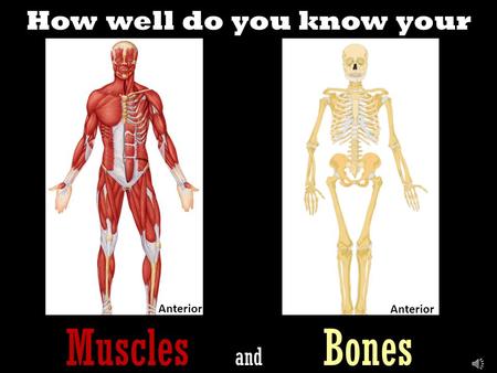 How well do you know your Muscles and Bones Anterior.