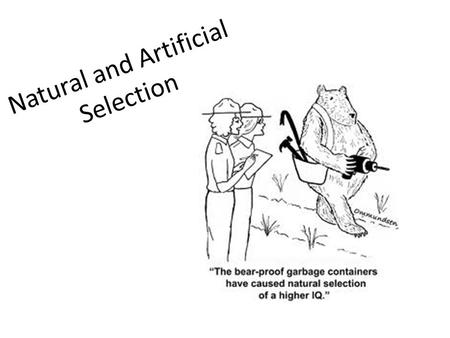 Natural and Artificial Selection