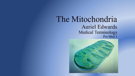 The Mitochondria Auriel Edwards Medical Terminology Pre Med 1.