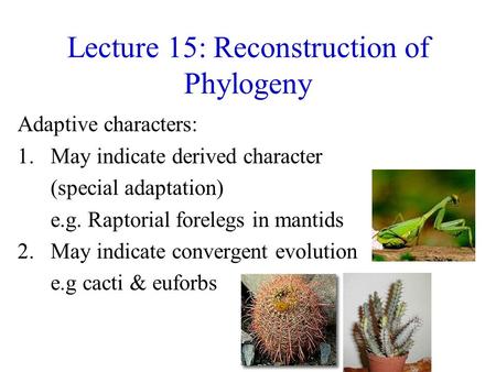 Lecture 15: Reconstruction of Phylogeny Adaptive characters: 1.May indicate derived character (special adaptation) e.g. Raptorial forelegs in mantids 2.May.