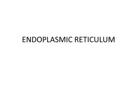 ENDOPLASMIC RETICULUM