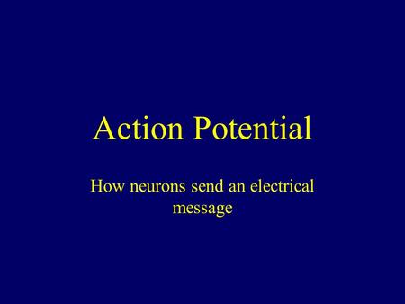 Action Potential How neurons send an electrical message.