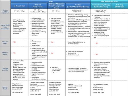 Child and Family Service Child and Family Service Adolescent Team Child and Adolescent Neuro-Developmental Service Carelink (Looked After Children Service)