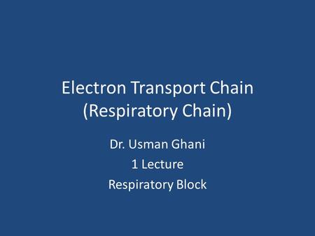 Electron Transport Chain (Respiratory Chain)