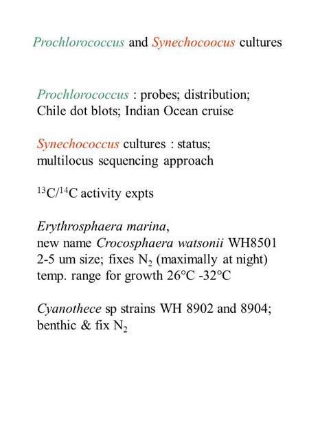 Prochlorococcus : probes; distribution; Chile dot blots; Indian Ocean cruise Synechococcus cultures : status; multilocus sequencing approach 13 C/ 14 C.