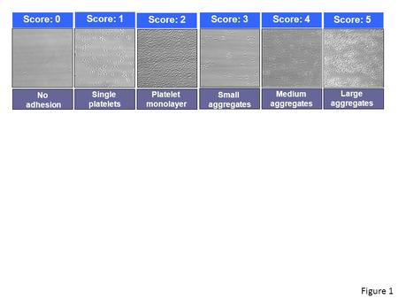 Figure 1 Single platelets Small aggregates Medium aggregates Large aggregates No adhesion.