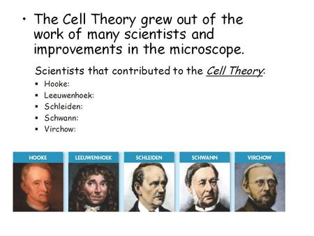 Hooke: identified and named cells, used cork