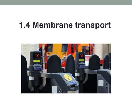 1.4 Membrane transport. A membrane is a barrier. Almost all membranes are semi-permeable. Why?