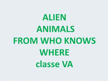 ALIEN ANIMALS FROM WHO KNOWS WHERE classe VA. I’m a bit of a lion, a bit of a hippo, a bit of a crocodile and a bit of a spider. I have got a lion’s head.