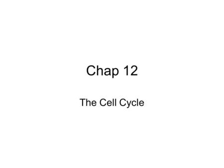 Chap 12 The Cell Cycle. Kangaroo rat epithelial cells.