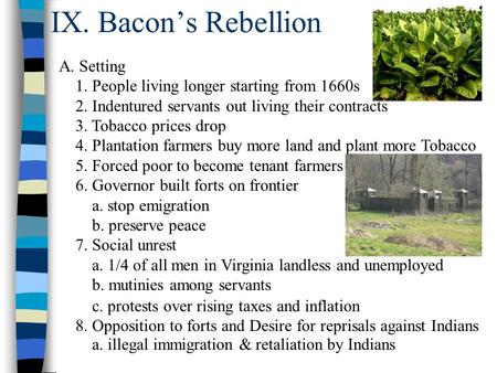 IX. Bacon’s Rebellion A. Setting 1. People living longer starting from 1660s 2. Indentured servants out living their contracts 3. Tobacco prices drop 4.