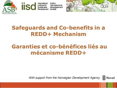 Safeguards and Co-benefits in a REDD+ Mechanism Garanties et co-bénéfices liés au mécanisme REDD+ With support from the Norwegian Development Agency.