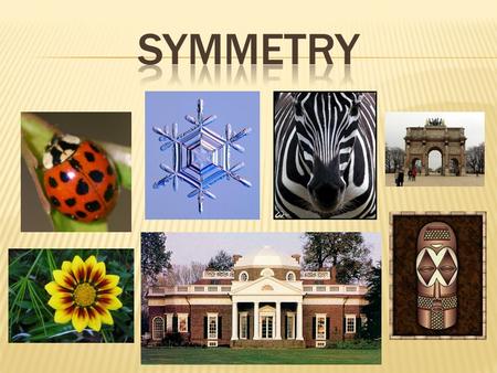 Symmetry Our mind is constnatly trying to make sense of information. Our mind automatically looks for patterns. The world around us is based on symmetry,