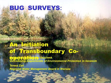 BUG SURVEYS : An Initiation of Transboundary Co- operation Małgorzata Landsberg-Uczciwek Voivodeship Inspectorate of Environmental Protection in Szczecin.