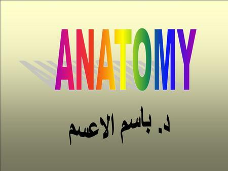 The body one bone The greater wing two bones The lesser wing two bone Lateral platetwo bone medial pterygoid plate two bone.