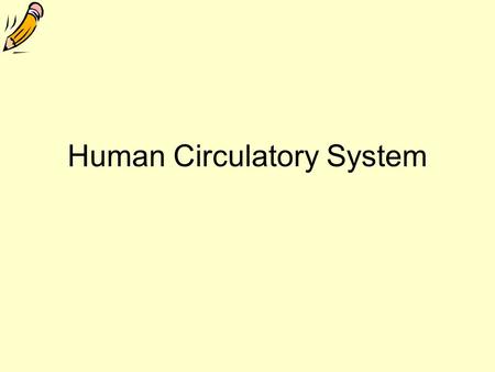 Human Circulatory System