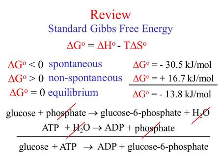 Review Standard Gibbs Free Energy  G o =  G o < 0  G o > 0  G o = 0 spontaneous non-spontaneous equilibrium HoHo - T  S o glucose  G o = + 16.7.