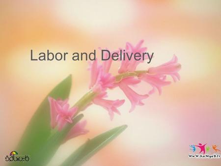 Operational Obstetrics & Gynecology · Bureau of Medicine and Surgery · 2000 Slide 1 Labor and Delivery.