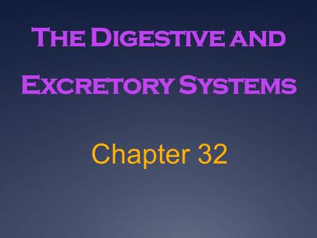 The Digestive and Excretory Systems