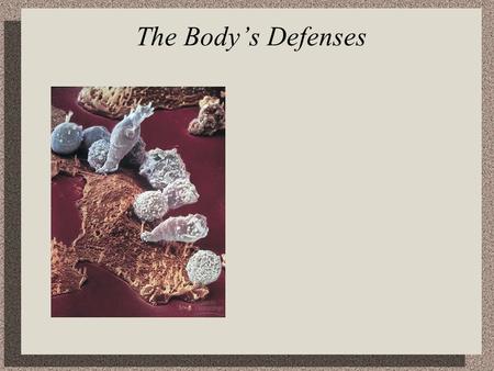 The Body’s Defenses.