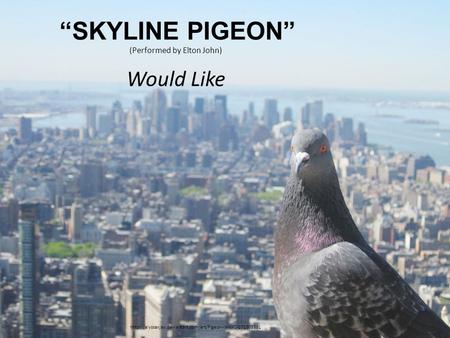 “SKYLINE PIGEON” (Performed by Elton John) Would Like