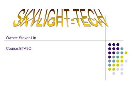 Owner: Steven Lin Course:BTA3O. Introduction 131 Alder Street East We sell Electronics and technology products Such as computer, PS3, Printer, LCD TV,