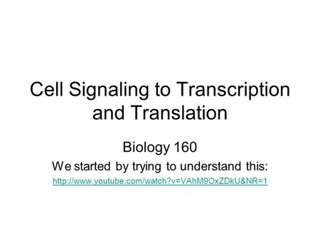 Cell Signaling to Transcription and Translation