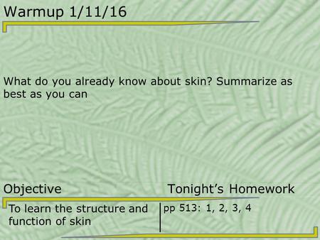 Warmup 1/11/16 What do you already know about skin? Summarize as best as you can Objective Tonight’s Homework To learn the structure and function of skin.