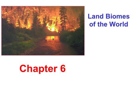 Land Biomes of the World Chapter 6. Earth’s Major Biomes Tundra.