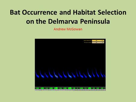 Bat Occurrence and Habitat Selection on the Delmarva Peninsula Andrew McGowan.