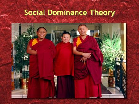 Social Dominance Theory “…even superficial and seemingly meaningless distinctions between individuals can become the basis for collective identity and.