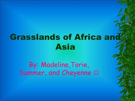 Grasslands of Africa and Asia