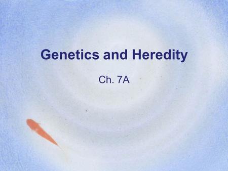 Genetics and Heredity Ch. 7A. Vocab Heredity: the passing of traits from parents to offspring (kids) Genetics: the study of how traits are inherited through.