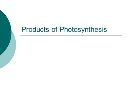 Products of Photosynthesis. Fate of Products of Photosynthesis  Glucose used in respiration to produce energy  Glucose converted to more complex carbohydrates.