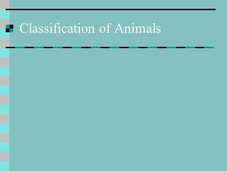 Classification of Animals