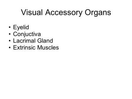 Visual Accessory Organs Eyelid Conjuctiva Lacrimal Gland Extrinsic Muscles.