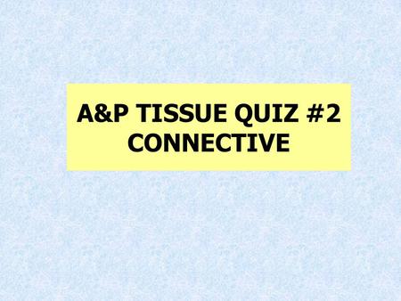 A&P TISSUE QUIZ #2 CONNECTIVE. 1.List 3 functions of connective tissue A. Support B. protection C. insulation D. Transportation E. hold things together.