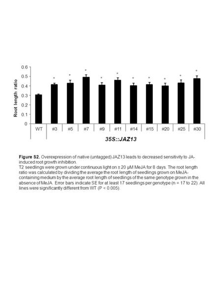 0 0.1 0.2 0.3 0.4 0.5 0.6 WT#3#5#7#9#11#14#15#20#25#30 35S::JAZ13 Root length ratio * * * * * * * * * * Figure S2. Overexpression of native (untagged)